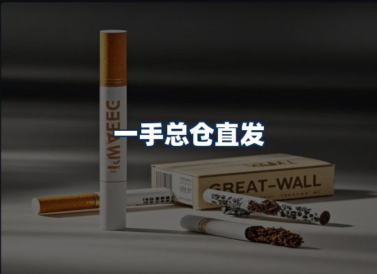 专业团队办公环境